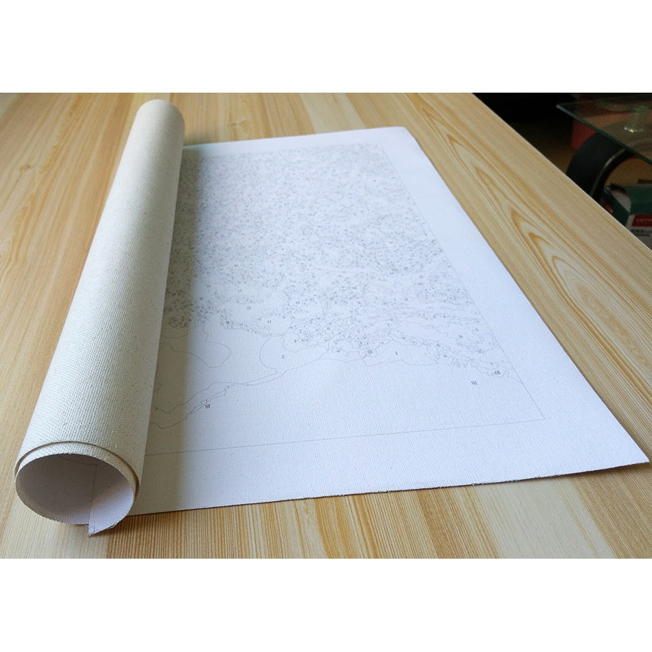 Digital Oil Painting Home Living Room Decoration Painting Without Frame